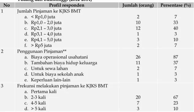 Tabel 3.   Karakteristik  Pinjaman  (Loan Characteristics) Petani pada KJKS BMT di Kota  Padang dan Bukittinggi (2012-2014) 