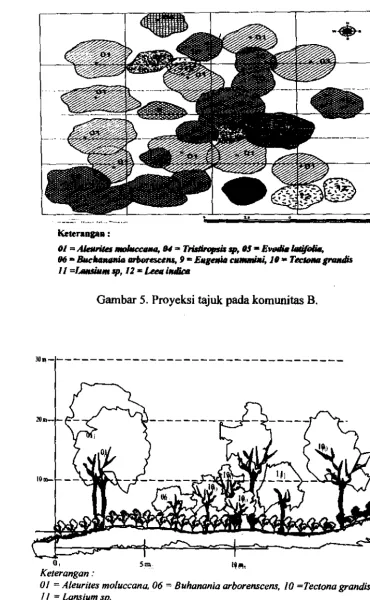 Gambar 6. Diagram profil vegetasi padakomunitas B. 
