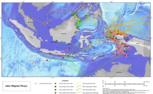 Gambar 1. Peta migrasi penyu sisik, penyu lekang, penyu hijau dan penyu belimbing di  perairan Indonesia 