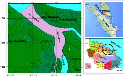 Gambar 1. Lokasi penelitian di kawasan konservasi ikan terubuk bengkalis. Figure 1. Map of research location in terubuk conservation area, Bengkalis.