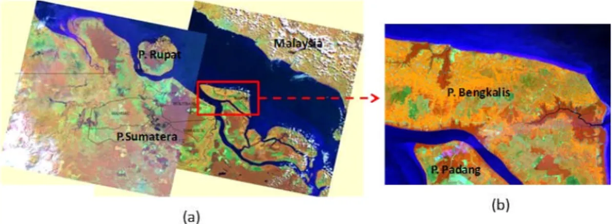 Gambar 3. Citra Landsat 8 (scene 127/59 dan 126/59) Kab. Bengkalis. (a) garis hitam batas kecamatan; dan (b) penampakan mangrove pada sampling area citra komposit RGB 564.