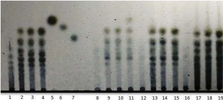 Gambar 8  Analisis TLC dari produk hidrolisis tongkol jagung dengan enzim xilanase Streptomyces violascens BF 3.10 