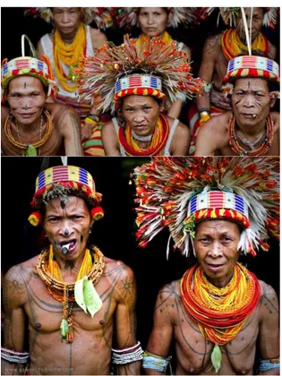 Gambar 8. Variasi Pakaian Adat Mentawai  (Yayasan Pendidikan Suku Mentawai, 2011; Info  Budaya, 2017) 