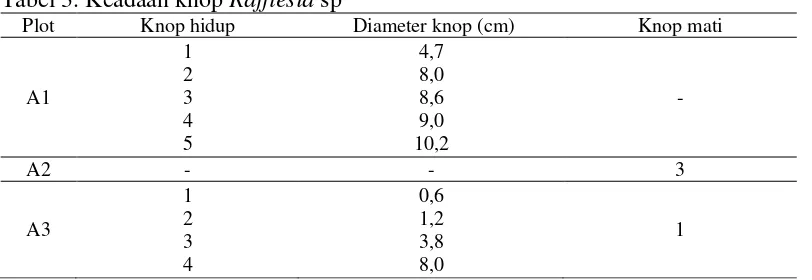Tabel 3. Keadaan knop Rafflesia sp 