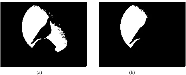 Gambar 6. (a) citra tersegmentasi, (b) citra setelah proses morfologi closing dan opening 