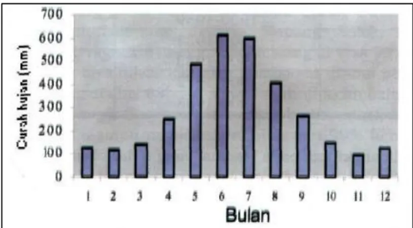 Gambar 4. Pola hujan lokal di Ambon (Sipayung et al., 2007) 