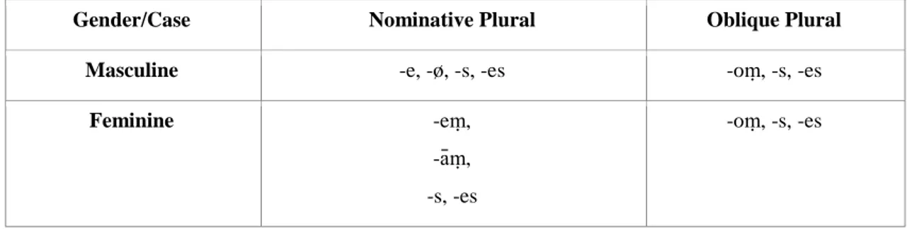 Table 4.3. Plural markers in the Hindi system with EH interference in masculine and feminine nouns