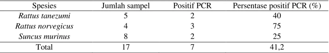 Tabel  1.  Hasil  Pemeriksaan  PCR  dengan  Target  Gen  LipL32  pada  Ginjal  Tikus  Tertangkap  di   Bakaran Kulon, Pati 