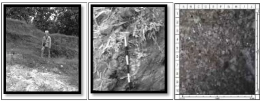 Gambar 5.3 Singkapan batugamping fasies Calcareous Lithic Wacke, Foto diambil menghadap  arah timur (kanan-tengah), Sayatan Batugamping (kiri), 