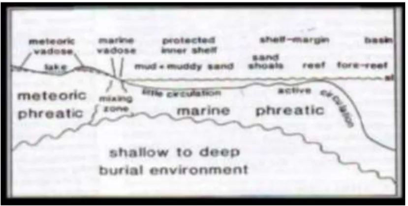 Gambar 2.6  Lingkungan diagenesis Tucker Dan Wright (1990) 