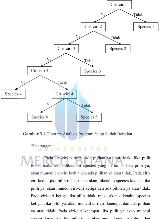Gambar 3.1  Diagram Analisis Program Yang Sudah Berjalan  Keterangan : 