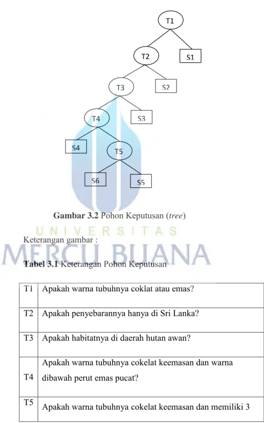 Gambar 3.2  Pohon Keputusan (tree)  Keterangan gambar : 