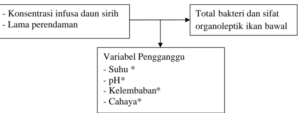 Gambar 2.5 Kerangka Konsep
