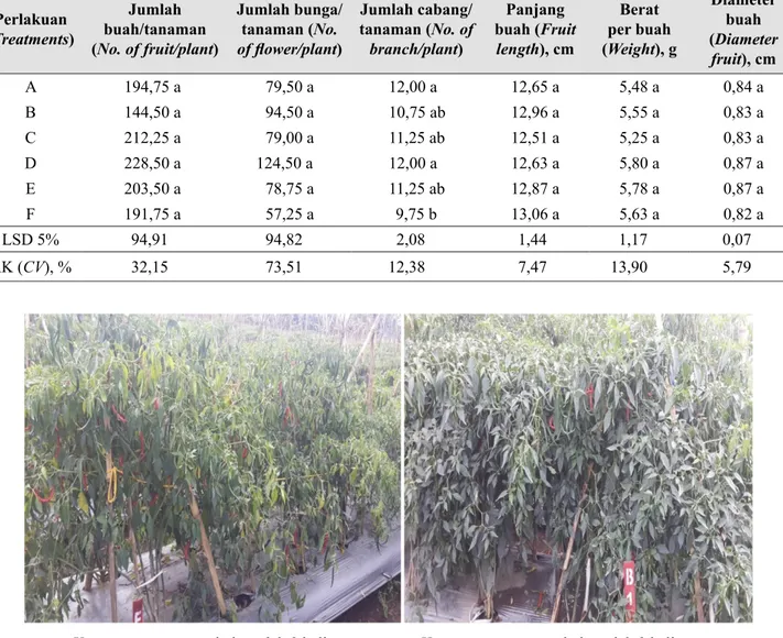 Tabel 7.  Hasil dan komponen hasil cabai merah (Component of yield on chilli pepper) (Lembang 2017) Perlakuan (Treatments) Jumlah  buah/tanaman   (No
