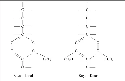 Gambar 2.2 Bentuk umum lignin 