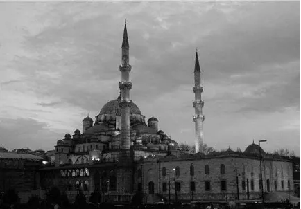 Figure 3. The Eminonu Yeni Mosque in Istanbul, Turkey 