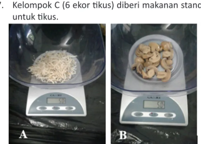 Gambar 1. A.Jamur, B. Ikan Teri Medan 