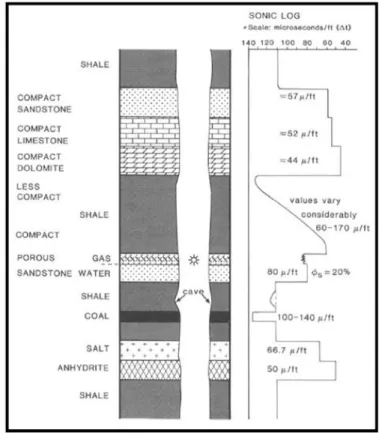 Gambar 2. Respon log densitas di berbagai litologi [1] 