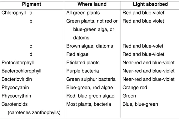 Tabel 1. Daftar pigmen fotosintesis dan golongan tumbuhan yang memiliki 