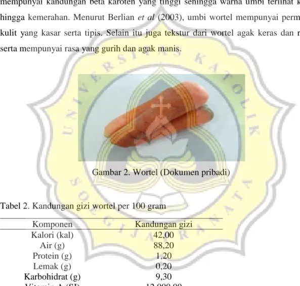 Gambar 2. Wortel (Dokumen pribadi) 