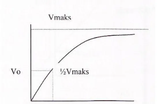 Gambar 2.1. Ketergantungan kecepatan reaksi pada konsentrasi substrat  pada saat Vo = ½ Vmaks 