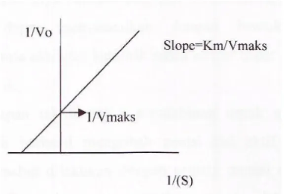 Gambar  2.2.  Persamaan  garis  lurus  menurut  metode  Lineweaver-Burk. 