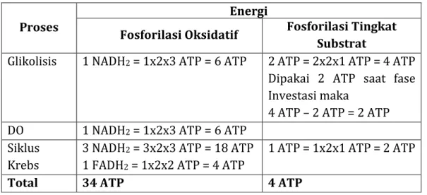 Tabel Jumlah ATP yang dihasilkan dari system transfer electron  Proses 