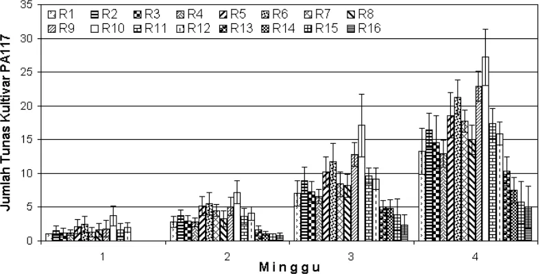 Gambar 3. Grafik rataan jumlah tunas tebu kultivar PA 117 yang terbentuksampai dengan minggu ke-4.