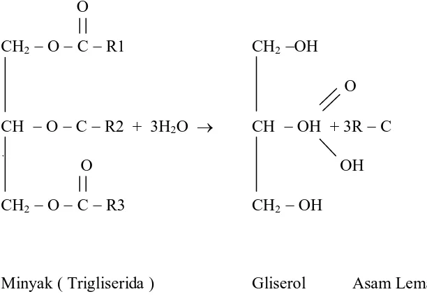 Gambar 2.1 Reaksi Hidrolisa Minyak secara umum 