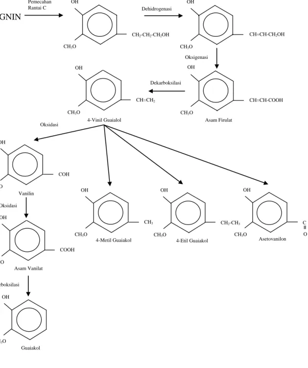Gambar 2.3. Mekanisme Pirolisis Lignin dari Kayu Lunak. (Ratna, 2008) 