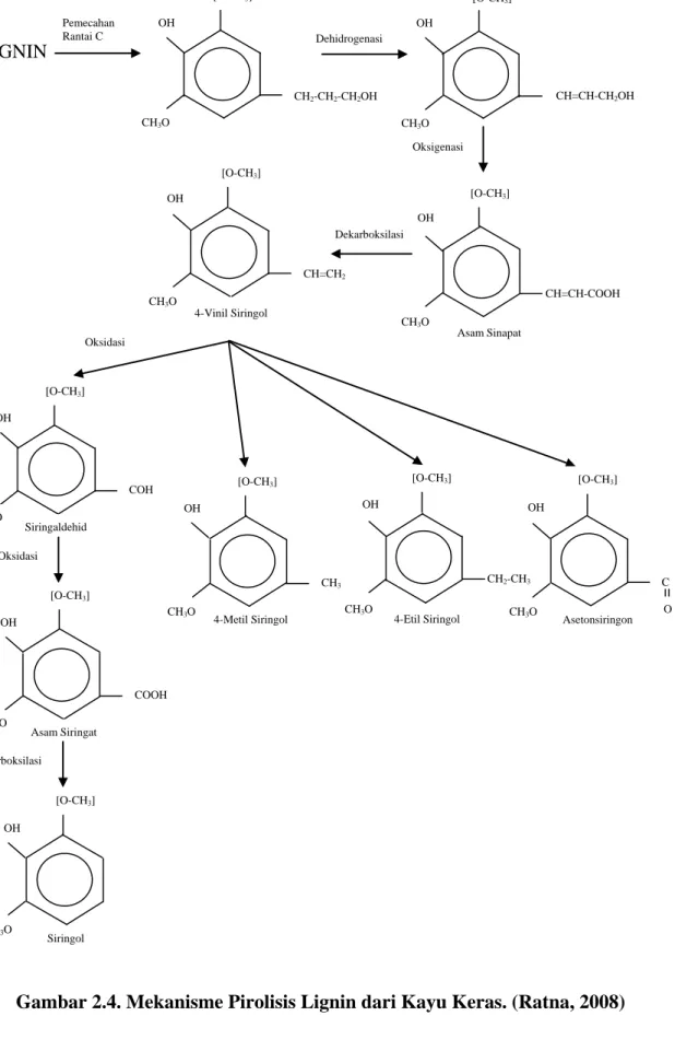 Gambar 2.4. Mekanisme Pirolisis Lignin dari Kayu Keras. (Ratna, 2008) 