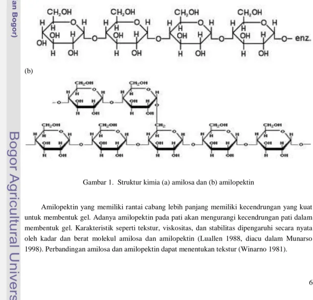 Gambar 1.  Struktur kimia (a) amilosa dan (b) amilopektin 