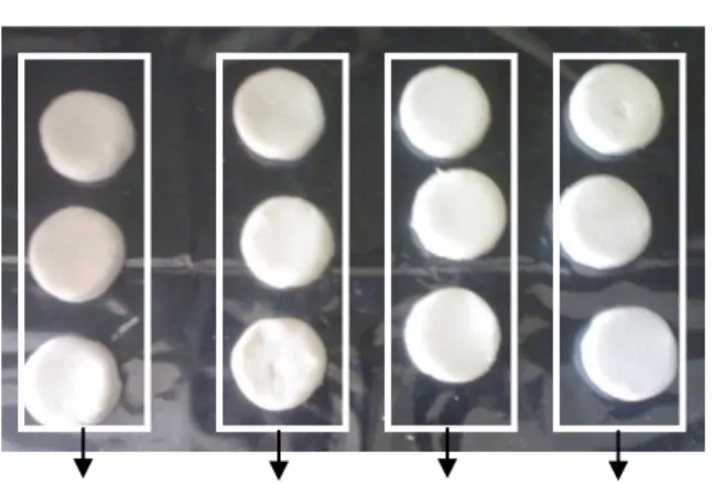 Gambar 10. Hasil pencetakan adonan pada empat rasio amilosa-amilopektin berbeda 