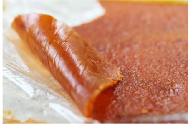 Gambar 2.1 Fruit Leather nanas (Asben, 2007)  2.  Pare 