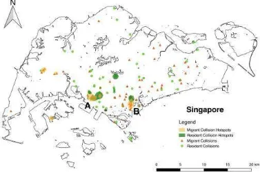 Figure 3: Spatial distribution of resident and migratory building collisions in Singapore, with shaded regions highlighting likely collision hotspots