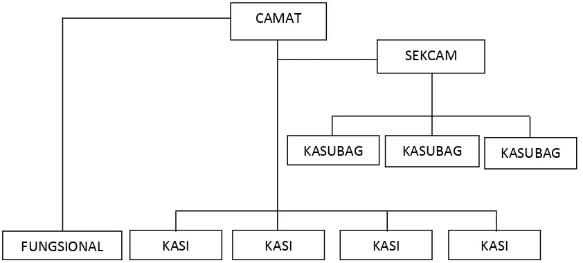 Gambar 4.3. Struktur Organisasi Kantor Kecamatan Puhpelem 