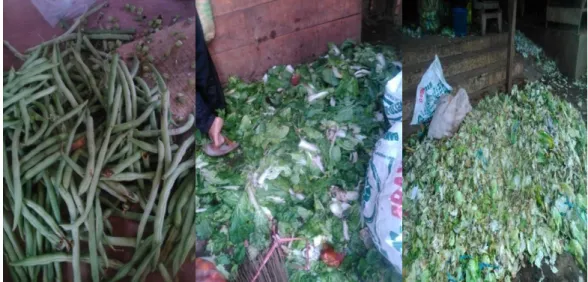 Gambar 1. Survei pasar dan pengumpulan sampel 