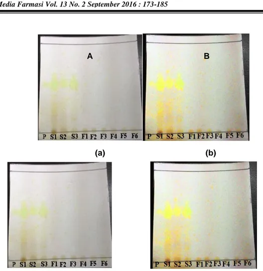 Gambar 2.  Hasil  identifikasi  keberadaan  senyawa  alkaloid  pada  fraksi  alkaloid  dari  ekstrak  etanol  lada  hitam  (a)  dan  lada  putih  (b)  pada  plat  KLT  setelah disemprot dengan pereaksi Dragendorff 