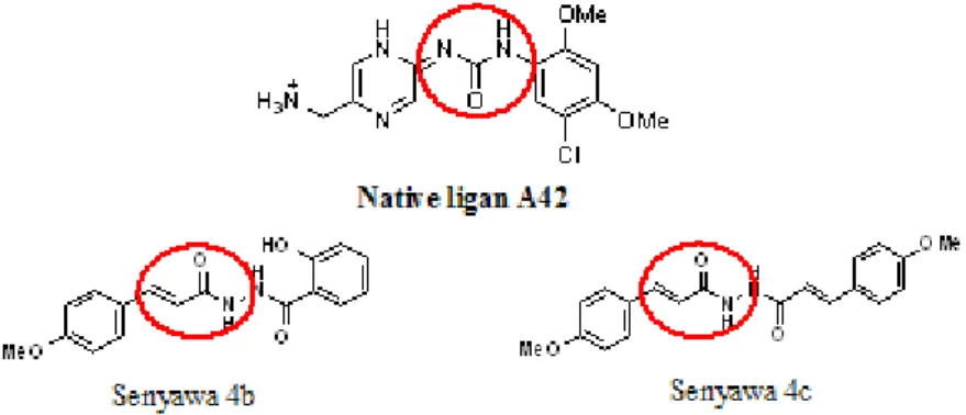 Gambar 9. Persamaan Struktur farmakofor native ligand A42  dengan senyawa 4b dan 4c