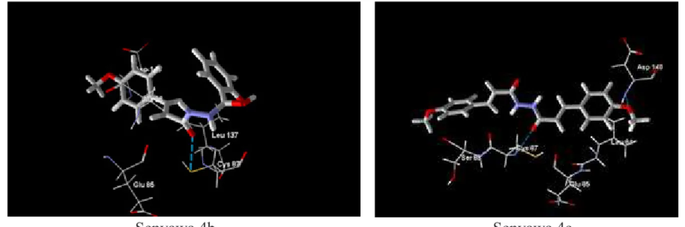Gambar 8. Interaksi penambatan senyawa 4b dan 4c dengan reseptor checkpoint  kinase dengan program Molegro Virtual Docker (MVD)