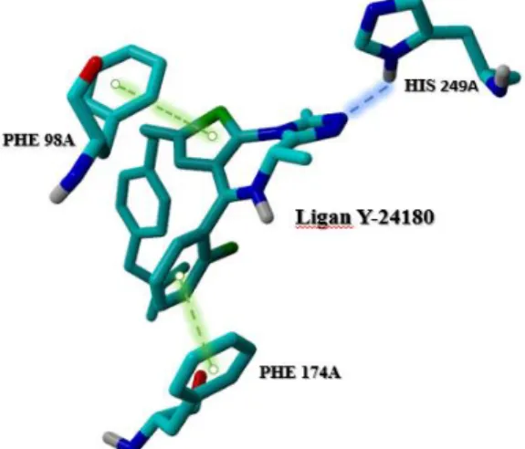 Gambar 5. Pose ikatan ligan-reseptor. 