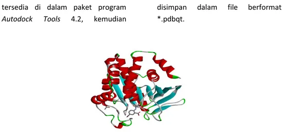 Gambar 1. Struktur PTP1B (PDB:1ECV) diunduh dari rcsb.pdb. 