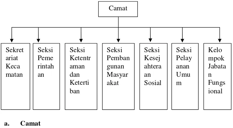 Gambar 2. Organisasi pemerintahan di Kecamatan Rajabasa.