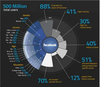 Gambar 1 . Data statistik Penggunaan Facebook   pada Tahun 2010 (DigitalSurgeons, 2010) 