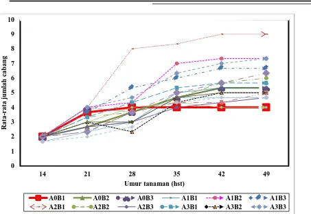 Tabel 1: Rerata jumlah cabang pada kacang tanah untuk analisis interaksi perlakuan dan waktu pemberian maleic hydrazide 