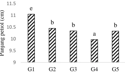 Gambar 7.   Karakter panjang petiol dari lima galur hasil persilangan kedelai varietas Korea x Argomulyo