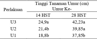 Tabel 1. Tinggi Tanaman Umur 14 HST dan 28 HST (cm) 