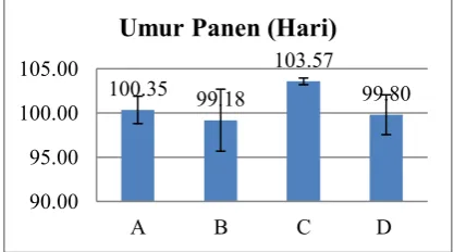 Gambar 4.1 Rerata Umur Panen (HST)  
