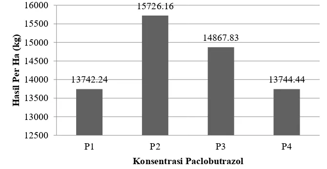 Gambar 5. Grafik rata-rata hasil per ha dengan perlakuan Paclobutrazol 
