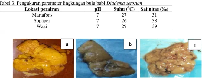 Tabel 3. Pengukuran parameter lingkungan bulu babi Diadema setosum 